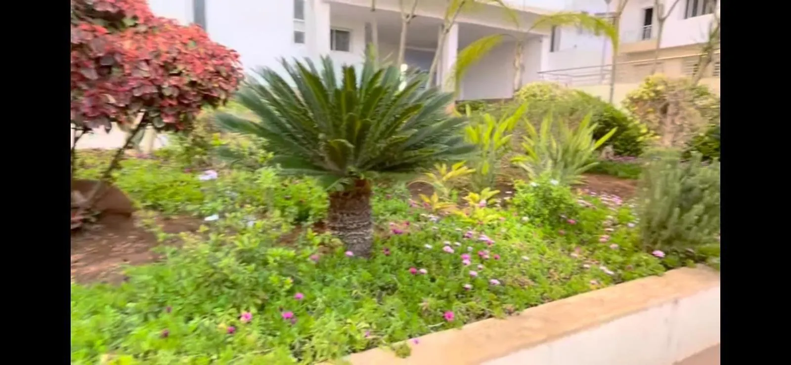 אגאדיר Islane Appart Hotel 0*,  מרוקו